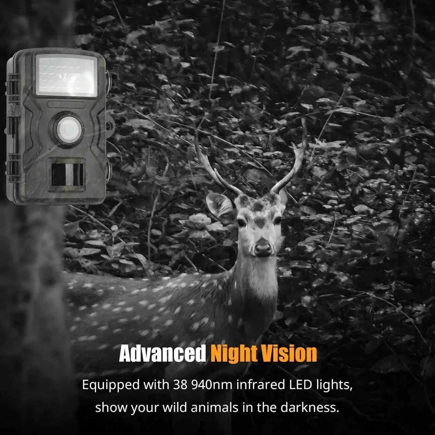 1080P LCD 16MP Hunting Trail Camera Infrared Night Vision IP66 Waterproof Motion Activated Photo Animal Observation Camera