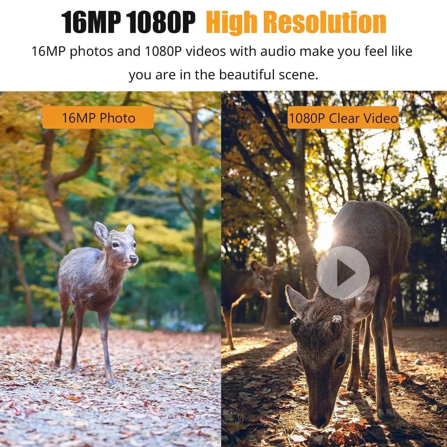 1080P LCD 16MP Hunting Trail Camera Infrared Night Vision IP66 Waterproof Motion Activated Photo Animal Observation Camera